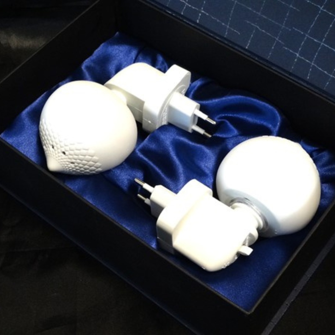 BOARDROOM Dome Night Light