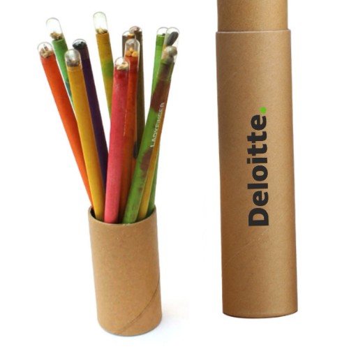Plantable Seed Pencils(Pack of 10) in a Tube