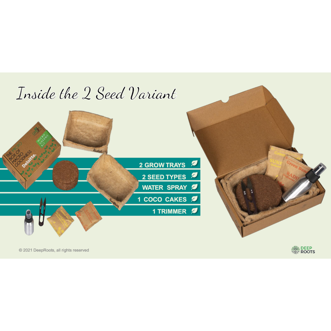 Microgreen's Kit
