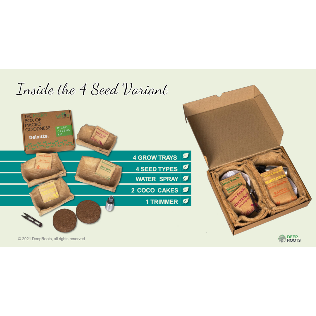 Microgreen's Kit 4 seed